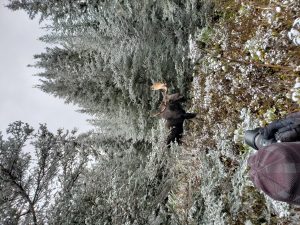 20181007 114406 Le Baroudeur