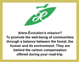 Arbre Evolution AN Plan de travail 1 copie 8 1 Partnership with Arbre Evolution, to promote well-being of communities between the forest and the human