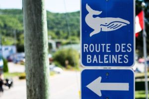 Panneau Route des Baleines Québec