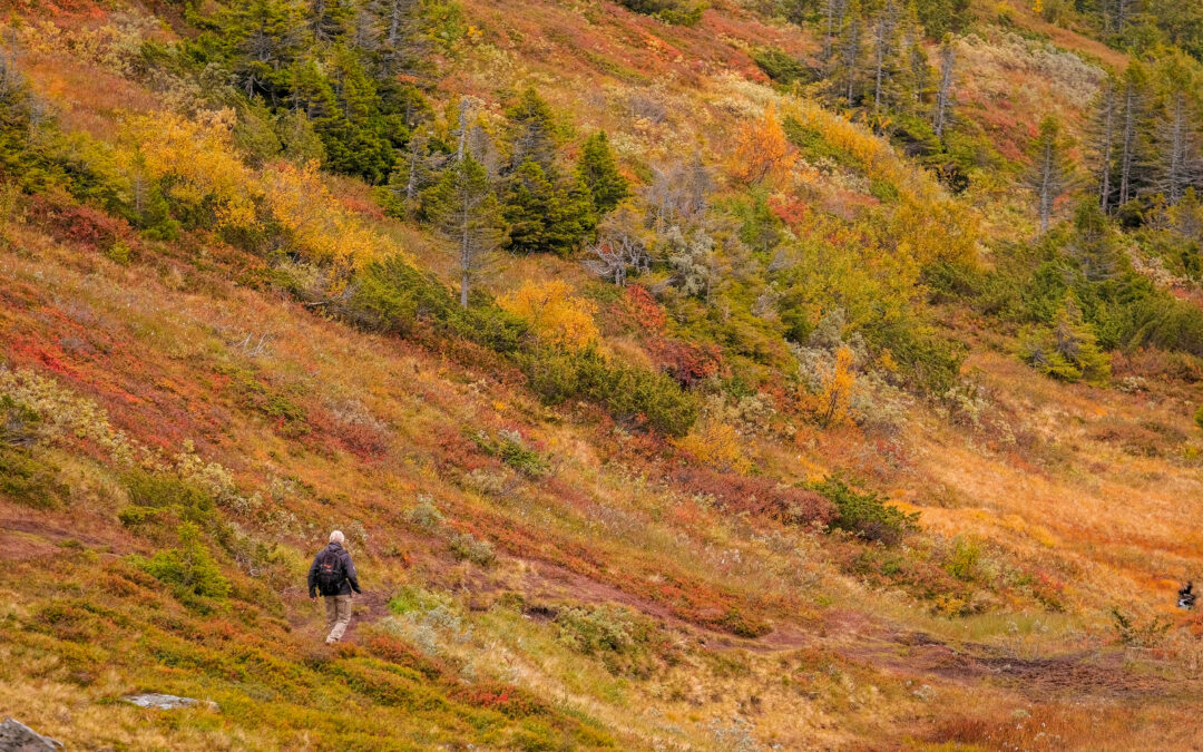 Entre été indien et magie des couleurs : découvrir l’automne au Québec
