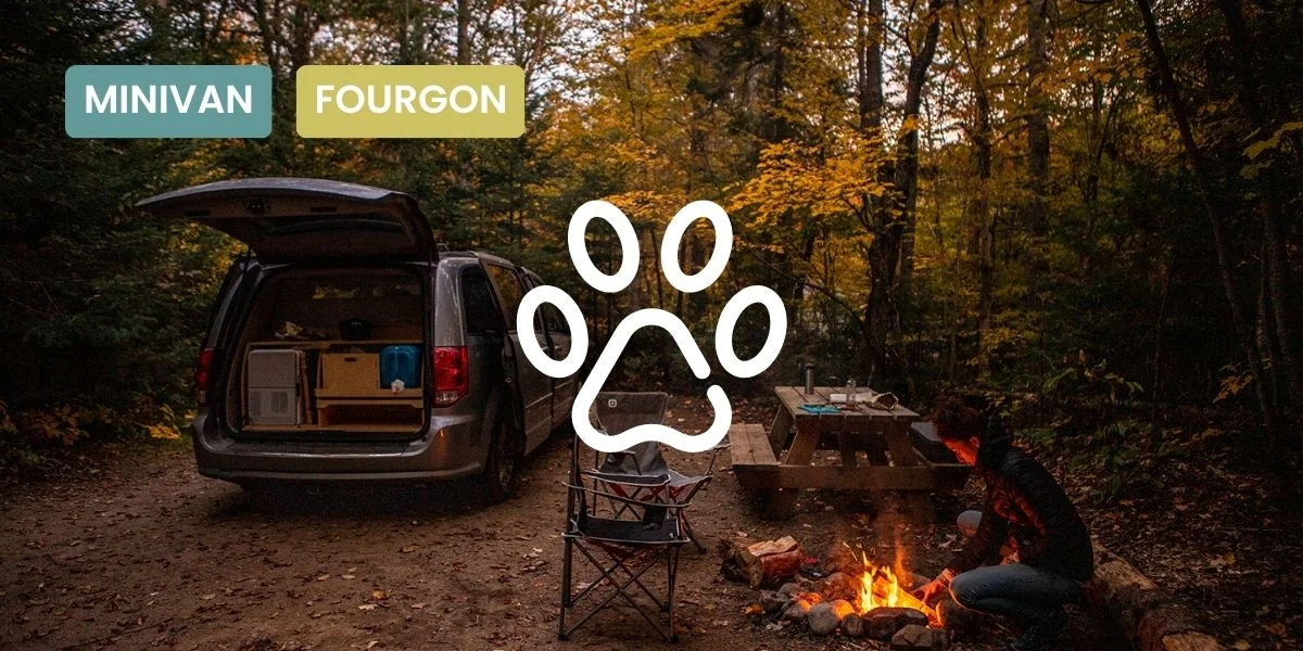 travelling with your dog